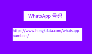 WhatsApp 号码