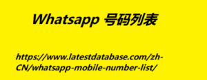 WhatsApp 号码列表